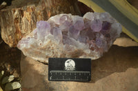 Natural Jacaranda Amethyst Clusters x 2 From Zambia