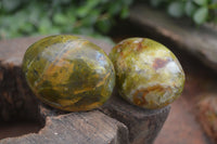 Polished Green Opal Palm Stones  x 12 From Antsirabe, Madagascar - Toprock Gemstones and Minerals 