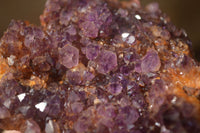 Natural Dark "Amethystos" Amethyst Crystal Plates  x 6 From Kwaggafontein, South Africa - Toprock Gemstones and Minerals 