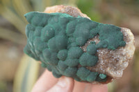 Natural Rare Ball Malachite On Drusy Quartz & Dolomite Specimens x 2 From Kambove, Congo