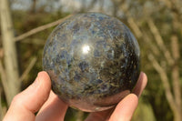 Polished Iolite Water Sapphire Spheres x 2 From Madagascar - TopRock