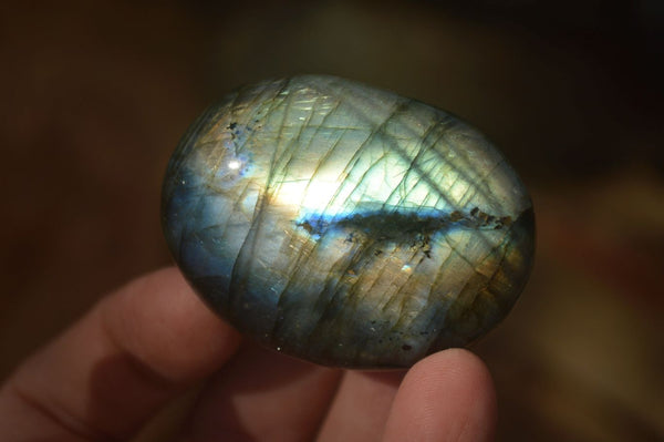 Polished  Flashy Labradorite Palm Stones  x 12 From Madagascar