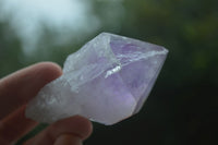 Natural Jacaranda Amethyst Crystals & Clusters  x 14 From Mumbwa, Zambia - Toprock Gemstones and Minerals 