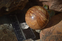 Polished  Chocolate Swirl Aragonite Spheres  x 3 From Antsirabe, Madagascar