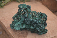 Natural Silky Malachite Specimen  x 1 From Kasompe, Congo