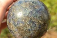 Polished Iolite Water Sapphire Spheres x 2 From Madagascar - TopRock