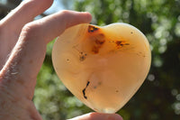 Polished Translucent Agate Hearts (Some Dendritic Features) x 6 From Madagascar - TopRock