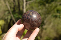 Polished Matrix Pyrope Garnet Spheres  x 3 From Madagascar - TopRock