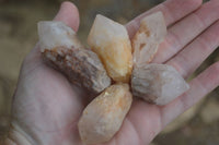 Natural Pineapple Candle Quartz Crystals  x 35 From Antsirabe, Madagascar - Toprock Gemstones and Minerals 