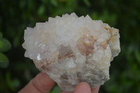 Natural Spirit Cactus Flower Quartz Clusters x 6 From Boekenhouthoek, South Africa