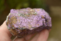 Natural Rare Metallic Purpurite Cobbed Specimens x 12 From Erongo, Namibia - TopRock