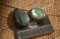 Polished  Flashy Labradorite Palm Stones  x 12 From Madagascar