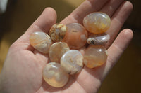 Polished Mini Ocean  Flower Agate Palm Stones  x 70 From Madagascar