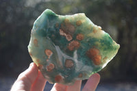 Polished One Side Polished Emerald Mtorolite Plates  x 4 From Zimbabwe - Toprock Gemstones and Minerals 