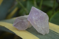 Natural Jacaranda Amethyst Crystals & Clusters  x 14 From Mumbwa, Zambia - Toprock Gemstones and Minerals 