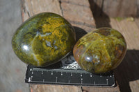 Polished Green Opal Palm Stones  x 12 From Antsirabe, Madagascar - Toprock Gemstones and Minerals 