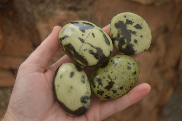 Polished Spotted Leopard Stone Gallets  x 12 From Zimbabwe