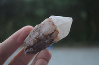 Natural Pineapple Candle Quartz Crystals  x 35 From Antsirabe, Madagascar - Toprock Gemstones and Minerals 