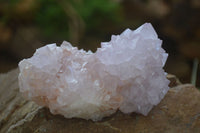 Natural Spirit Cactus Flower Quartz Clusters x 6 From Boekenhouthoek, South Africa