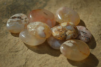 Polished Mini Ocean  Flower Agate Palm Stones  x 70 From Madagascar