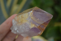 Natural Jacaranda Amethyst Crystals & Clusters  x 14 From Mumbwa, Zambia - Toprock Gemstones and Minerals 