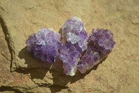 Natural Mini Dark Purple Amethyst Specimens  x 70 From Zambia - Toprock Gemstones and Minerals 