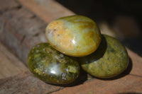 Polished Green Opal Palm Stones  x 12 From Antsirabe, Madagascar - Toprock Gemstones and Minerals 