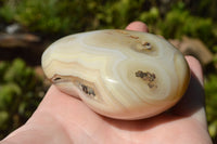 Polished Translucent Agate Hearts (Some Dendritic Features) x 6 From Madagascar - TopRock