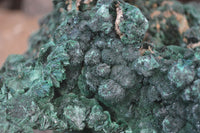 Natural Silky Malachite Specimen  x 1 From Kasompe, Congo