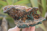 Natural Rare Ball Malachite On Drusy Quartz & Dolomite Specimens x 2 From Kambove, Congo