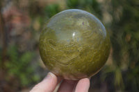 Polished Green Opal Spheres  x 2 From Antsirabe, Madagascar