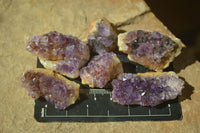 Natural Mini Dark Purple Amethyst Specimens  x 70 From Zambia - Toprock Gemstones and Minerals 