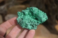 Natural Chatoyant Silky Malachite Specimens  x 7 From Kasompe, Congo