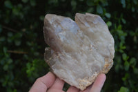 Natural Red Hematoid Quartz Specimens  x 2 From Karoi, Zimbabwe - Toprock Gemstones and Minerals 