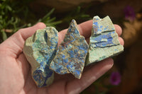 Natural Azurite & Malachite On Dolomite Specimens  x 24 From Kaokoveld, Namibia - Toprock Gemstones and Minerals 