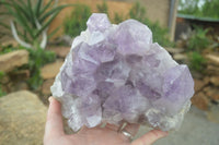 Natural Large Jacaranda Amethyst Crystal Cluster  x 1 From Mumbwa, Zambia - Toprock Gemstones and Minerals 