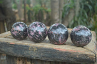 Polished Pink & Black Rhodonite Spheres  x 4 From Madagascar - Toprock Gemstones and Minerals 