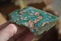 Polished One Side Polished Emerald Mtorolite Plates  x 4 From Zimbabwe - Toprock Gemstones and Minerals 