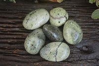 Polished Leopard Stone Gallets  x 6 From Nyanga & Shamva, Zimbabwe - Toprock Gemstones and Minerals 