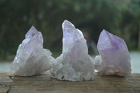 Natural Jacaranda Amethyst Crystals & Clusters  x 14 From Mumbwa, Zambia - Toprock Gemstones and Minerals 