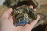 Natural Rough Labradorite Cobbed Specimens  x 35 From Tulear, Madagascar - Toprock Gemstones and Minerals 