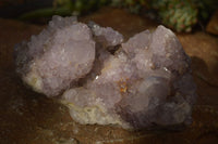 Natural Spirit Amethyst Quartz Clusters x 2 From Boekenhouthoek, South Africa