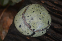 Polished Leopard Stone Gallets  x 6 From Nyanga & Shamva, Zimbabwe - Toprock Gemstones and Minerals 