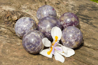 Polished Purple Lepidolite Mica Spheres  x 6 From Madagascar - TopRock