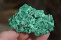 Natural Chatoyant Silky Malachite Specimens  x 7 From Kasompe, Congo