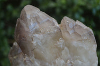 Natural Red Hematoid Quartz Specimens  x 2 From Karoi, Zimbabwe - Toprock Gemstones and Minerals 