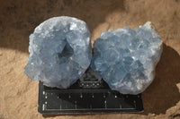 Natural Blue Celestite Crystal Specimens  x 6 From Sakoany, Madagascar