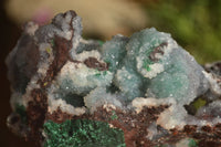 Natural Drusy Coated Ball Malachite On Dolomite Matrix Specimens  x 2 From Likasi, Congo