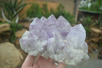 Natural Large Jacaranda Amethyst Crystal Cluster  x 1 From Mumbwa, Zambia - Toprock Gemstones and Minerals 