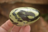 Polished Spotted Leopard Stone Gallets  x 12 From Zimbabwe